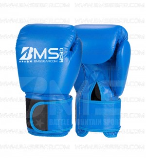 Thai Boxing Gloves