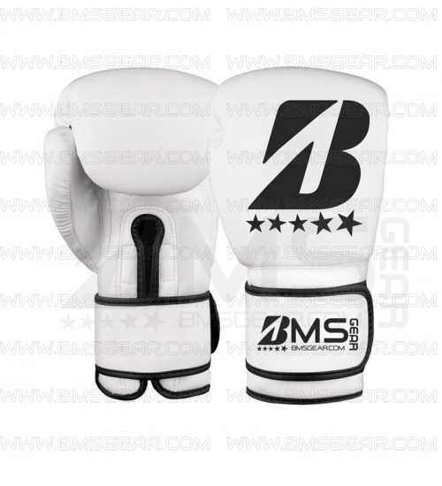 Evolution Boxing Gloves